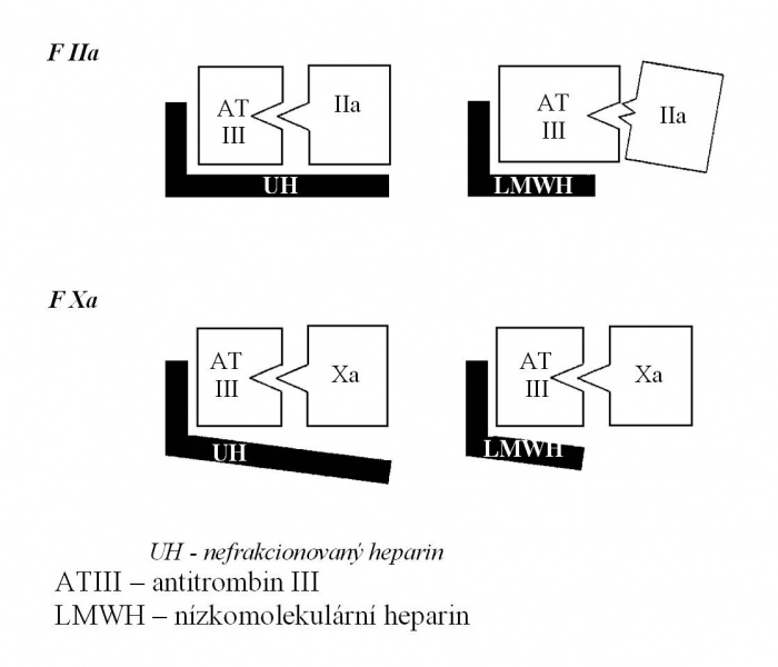 Soubor:Heparin.jpg